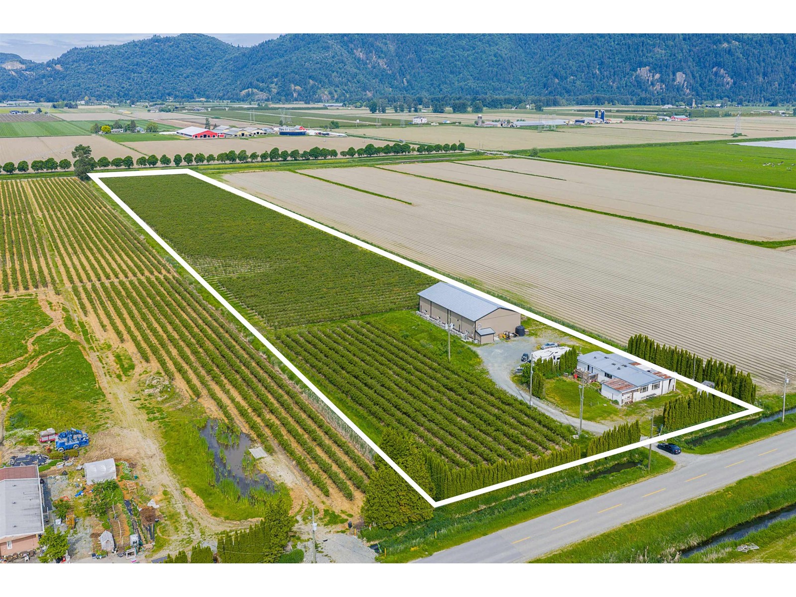 3815 Interprovincial Highway, Abbotsford, British Columbia  V3G 2P1 - Photo 8 - R3007705