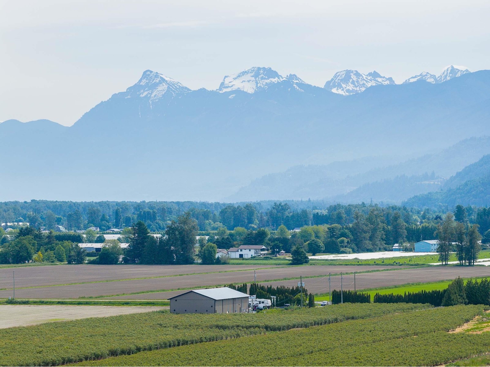 3815 Interprovincial Highway, Abbotsford, British Columbia  V3G 2P1 - Photo 3 - R3007705