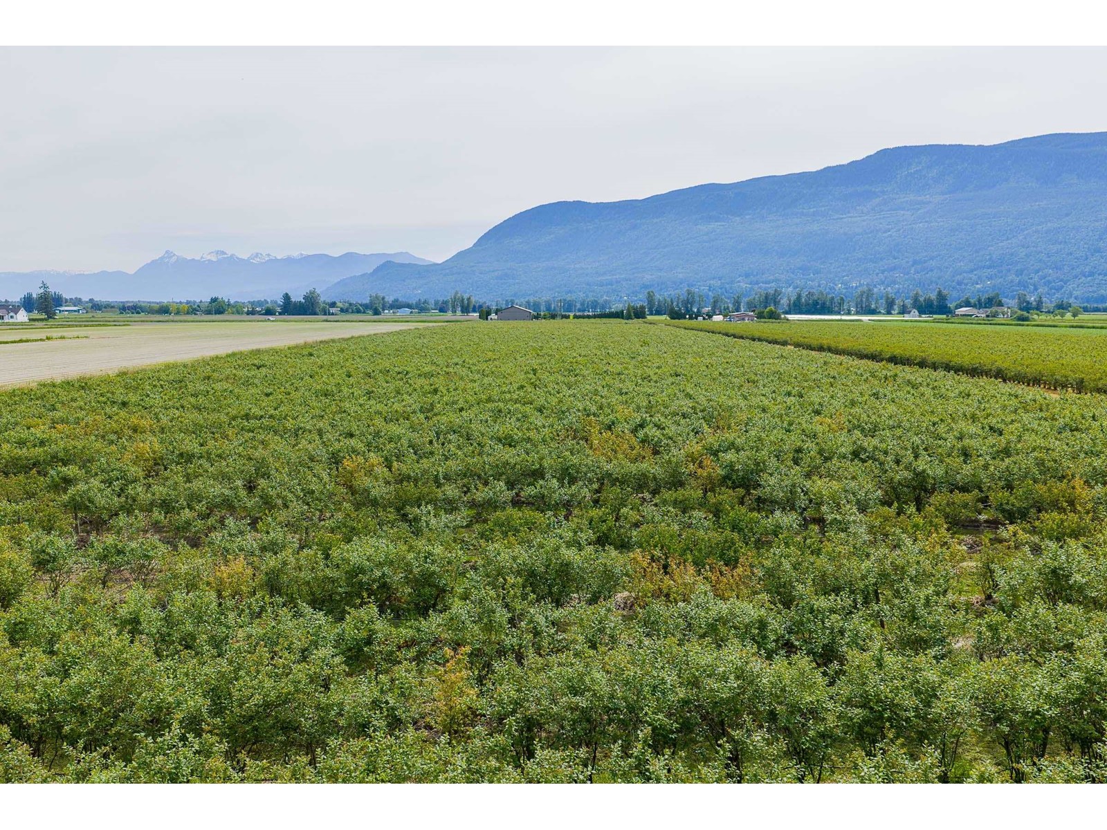 3815 Interprovincial Highway, Abbotsford, British Columbia  V3G 2P1 - Photo 4 - R3007705