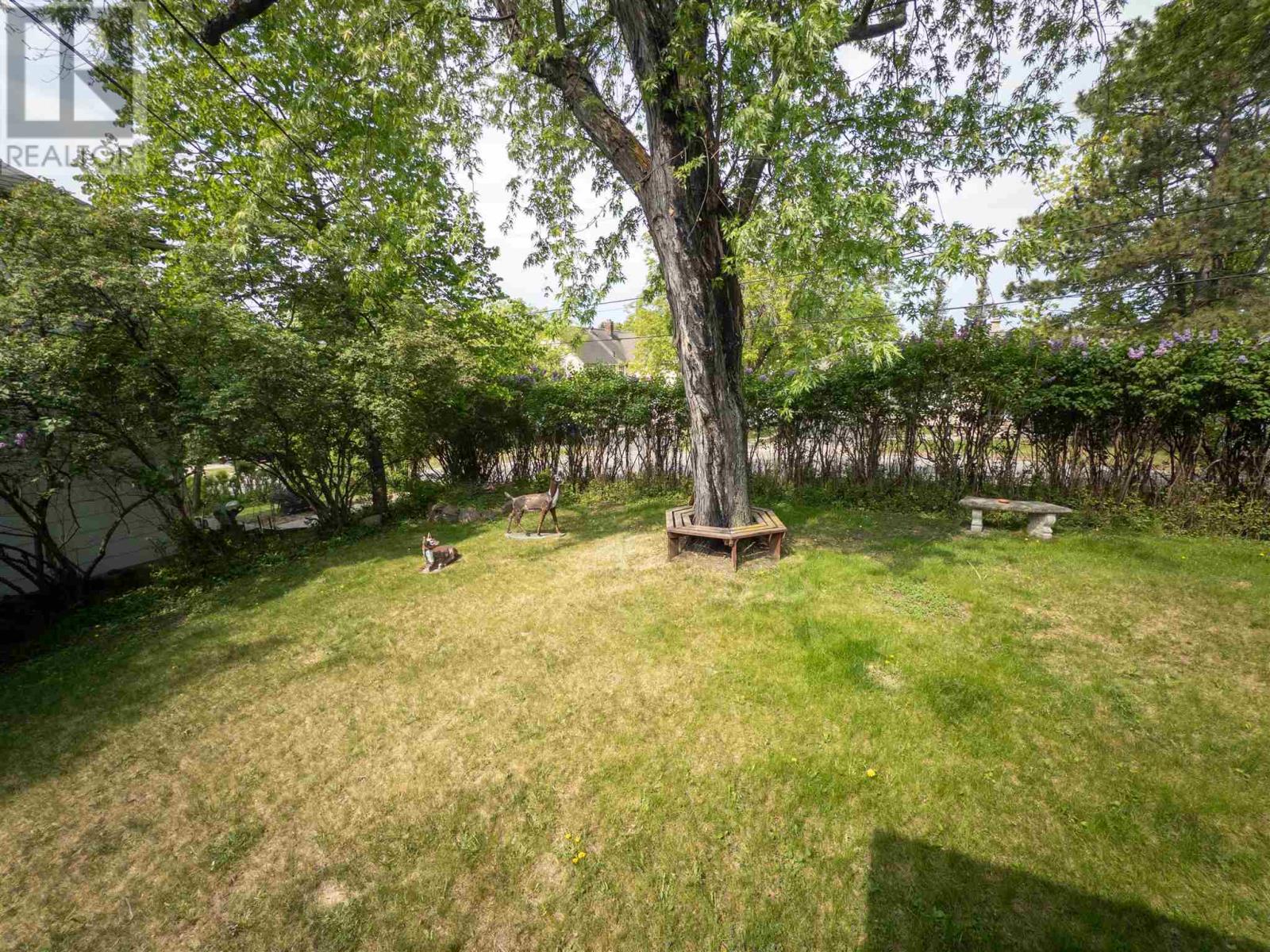 313 Matheson Street North, Kenora, Ontario  P9N 3G7 - Photo 26 - TB251397