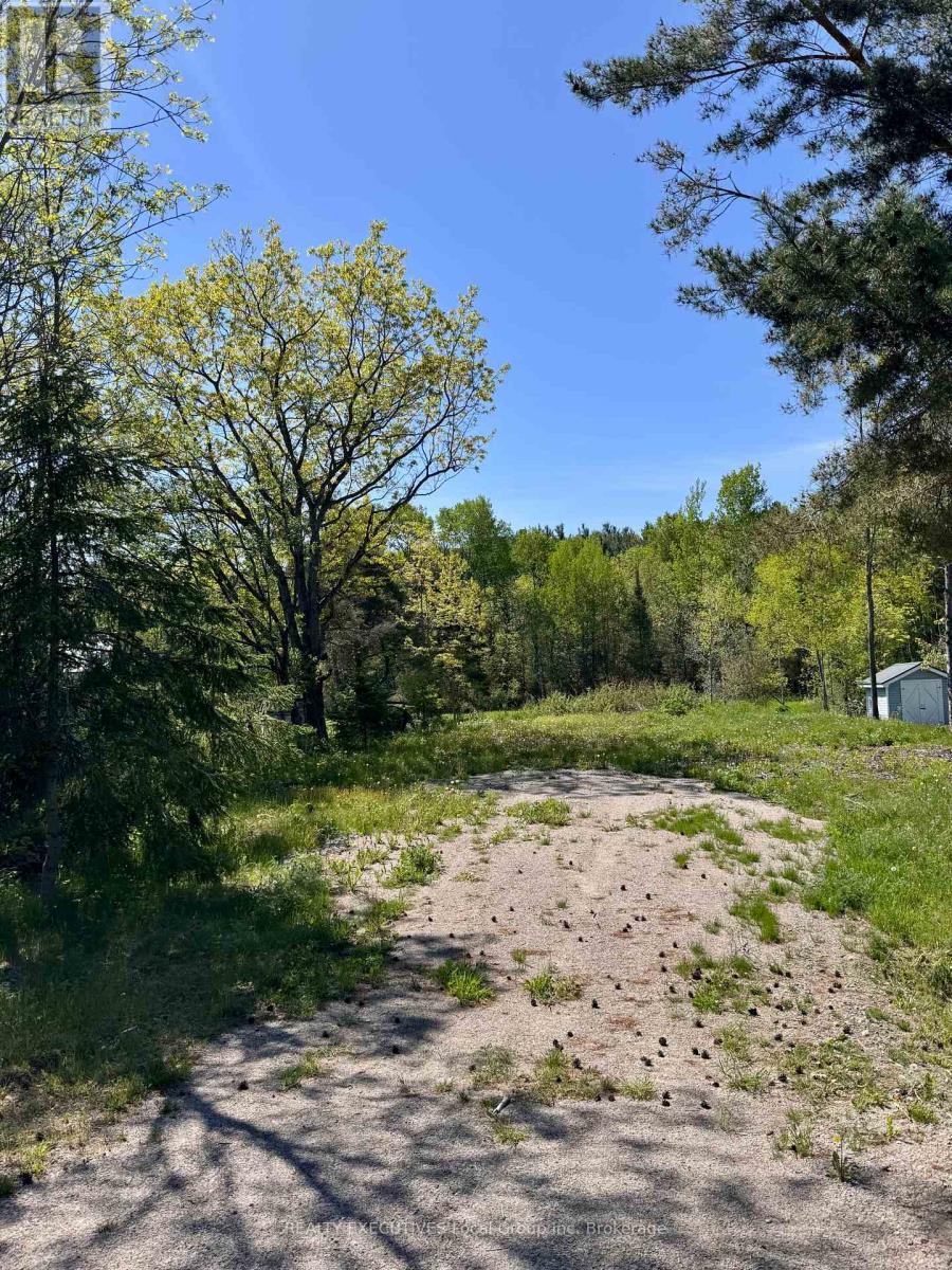 91 Memorial Park Drive E, Powassan, Ontario  P0H 1Z0 - Photo 7 - X12180944