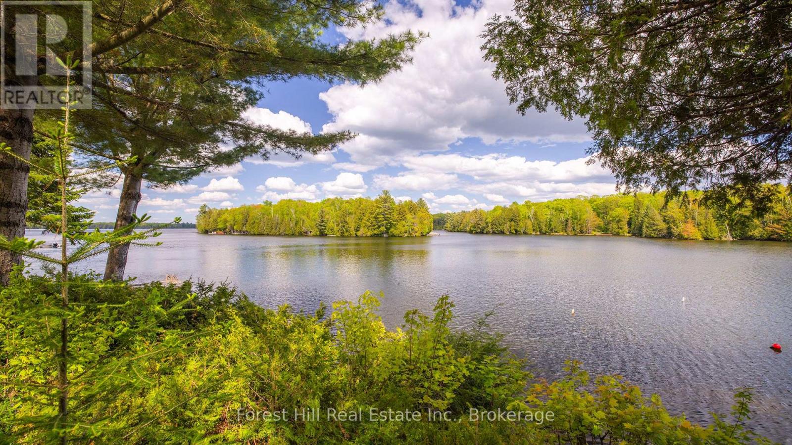 445 Lorimer Lake Road, Mcdougall, Ontario  P2A 2W7 - Photo 37 - X12181032