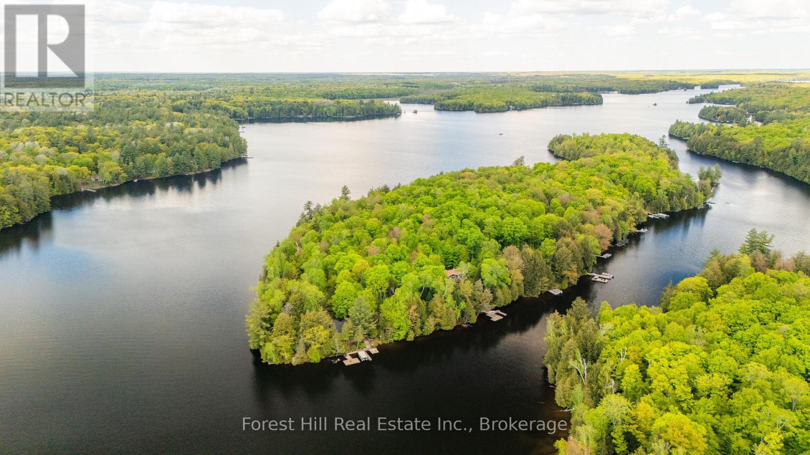 445 Lorimer Lake Road, Mcdougall, Ontario P2A 2W7 - Photo 4 - X12181032