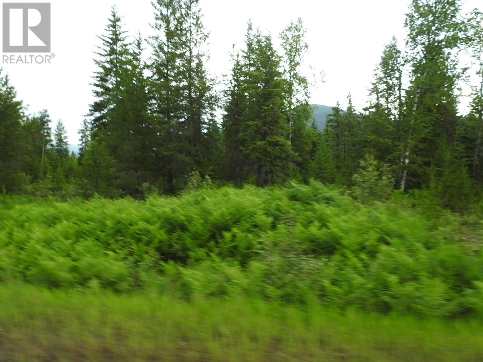9700 6 Highway, Edgewood, BC V0G1J0