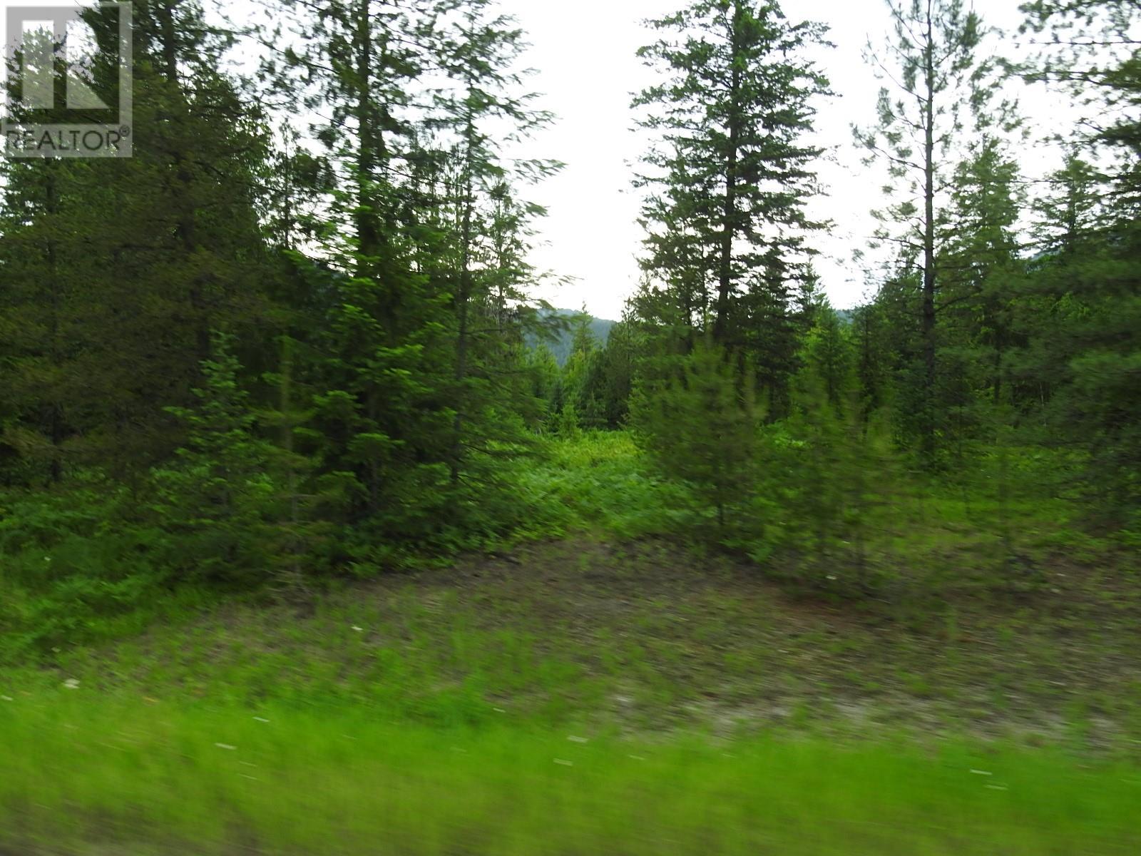 9700 6 Highway, Edgewood, British Columbia  V0G 1J0 - Photo 9 - 2477581