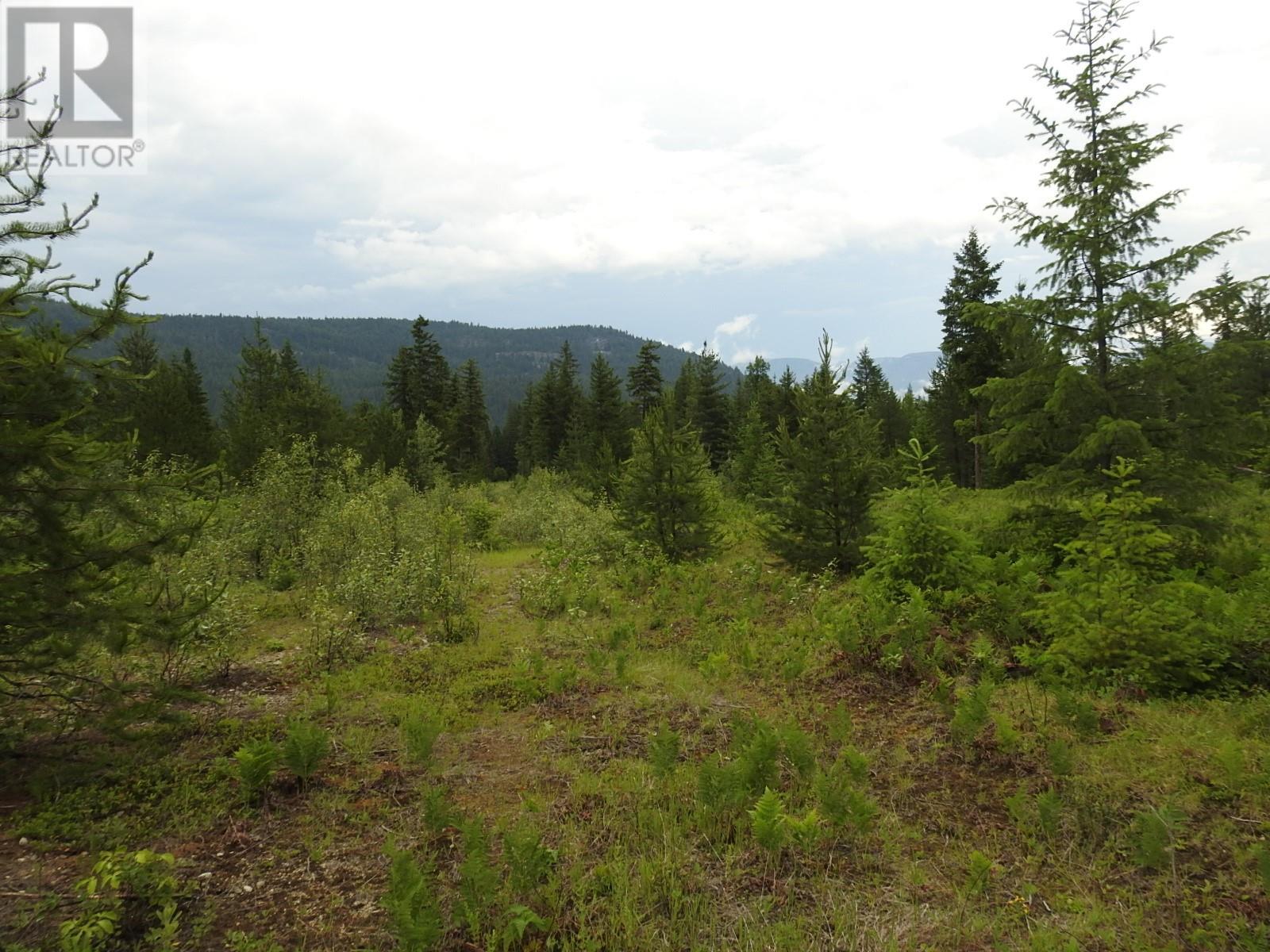 9700 6 Highway, Edgewood, BC V0G1J0