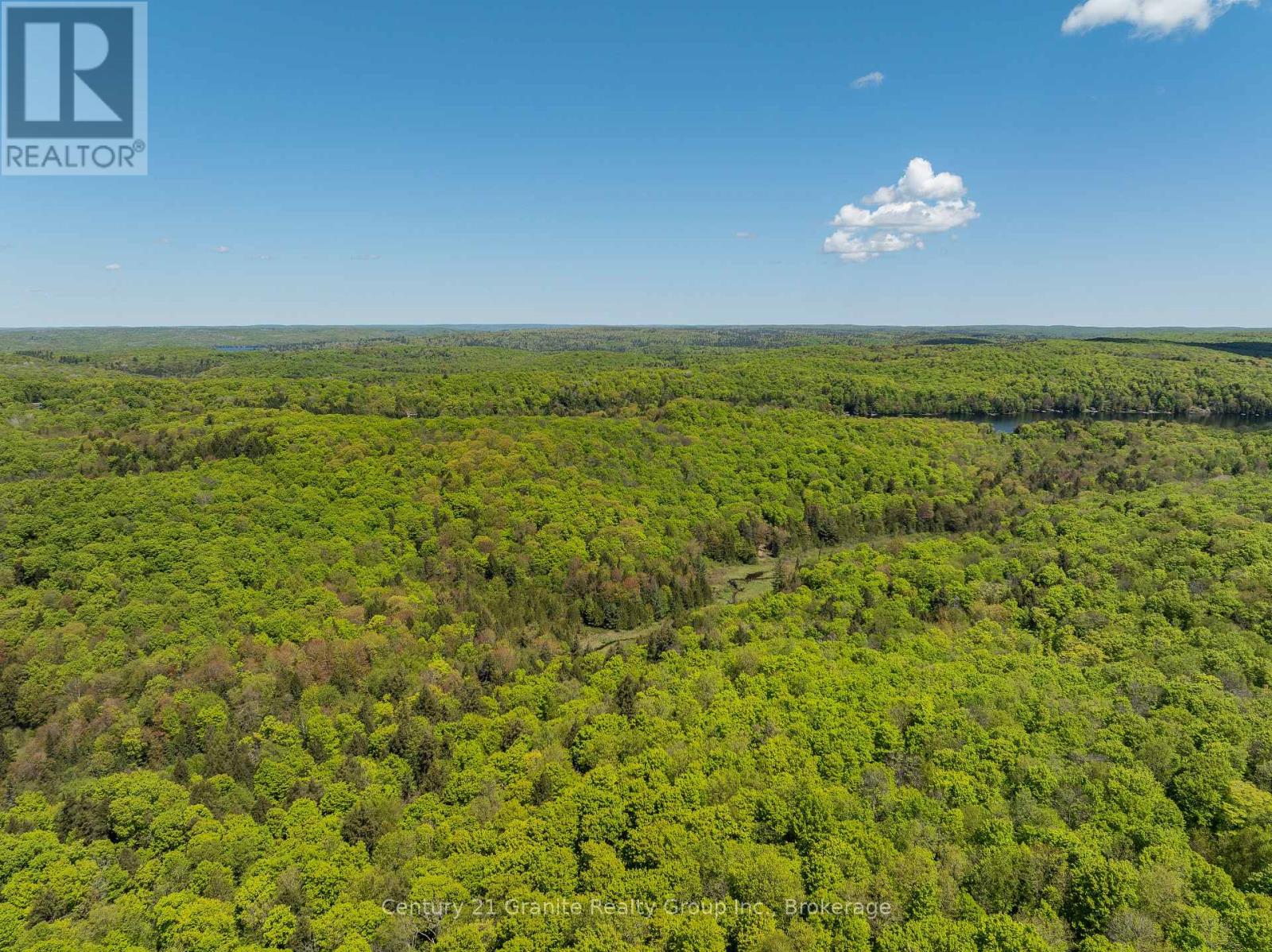 1145 Mink Road, Dysart Et Al, Ontario  K0M 1S0 - Photo 39 - X12181075