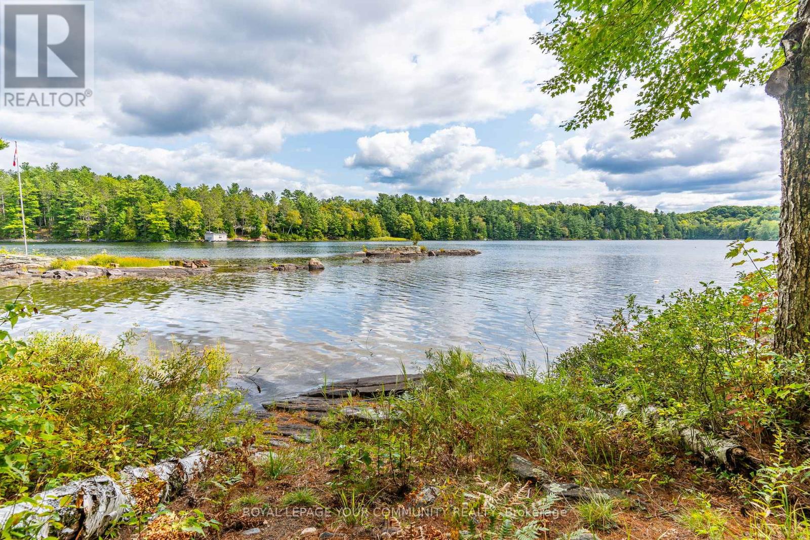 1031 Obelisk Trail, Minden Hills, Ontario  K0M 2A0 - Photo 10 - X12180950