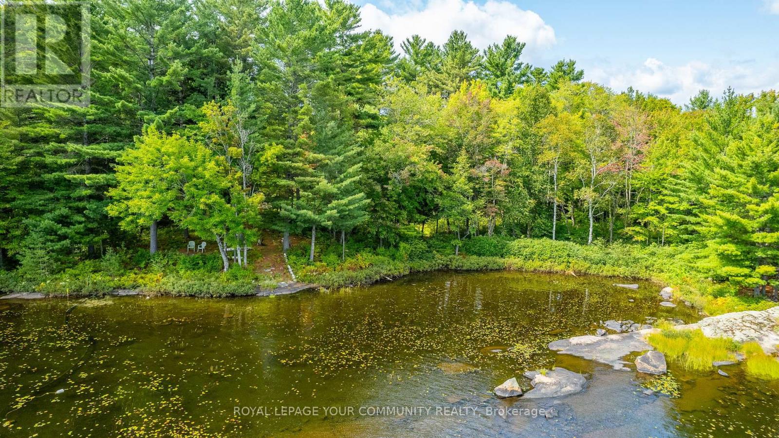 1031 Obelisk Trail, Minden Hills (Lutterworth), Ontario  K0M 2A0 - Photo 26 - X12180950