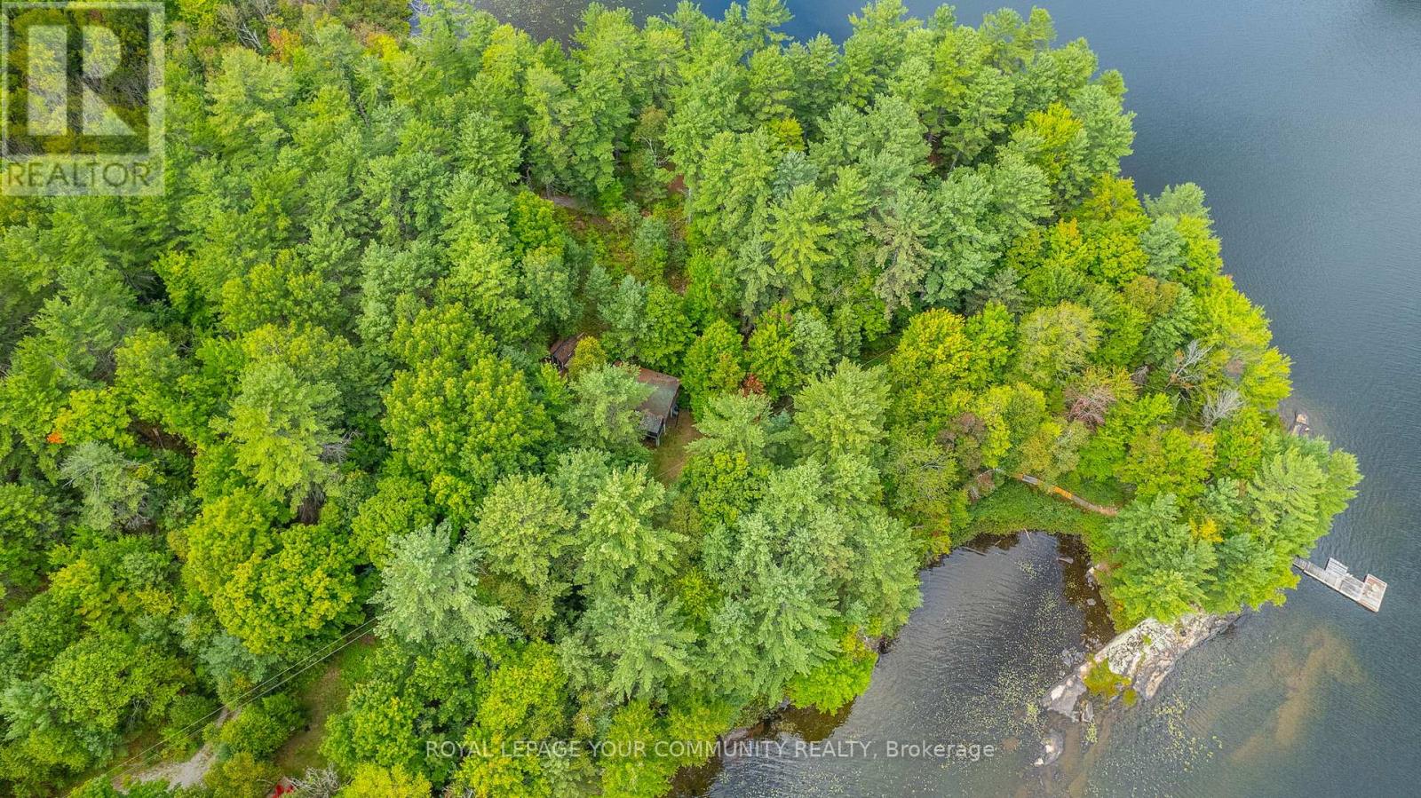 1031 Obelisk Trail, Minden Hills (Lutterworth), Ontario  K0M 2A0 - Photo 32 - X12180950