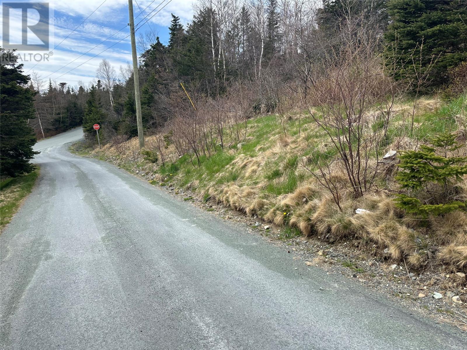 10 Power's Lane, Marysvale, Newfoundland & Labrador  A0A 2Z0 - Photo 3 - 1285666