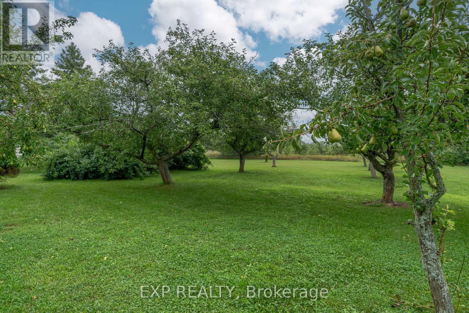 737 County Rd 18, Prince Edward County, Ontario  K0K 1P0 - Photo 43 - X12181239