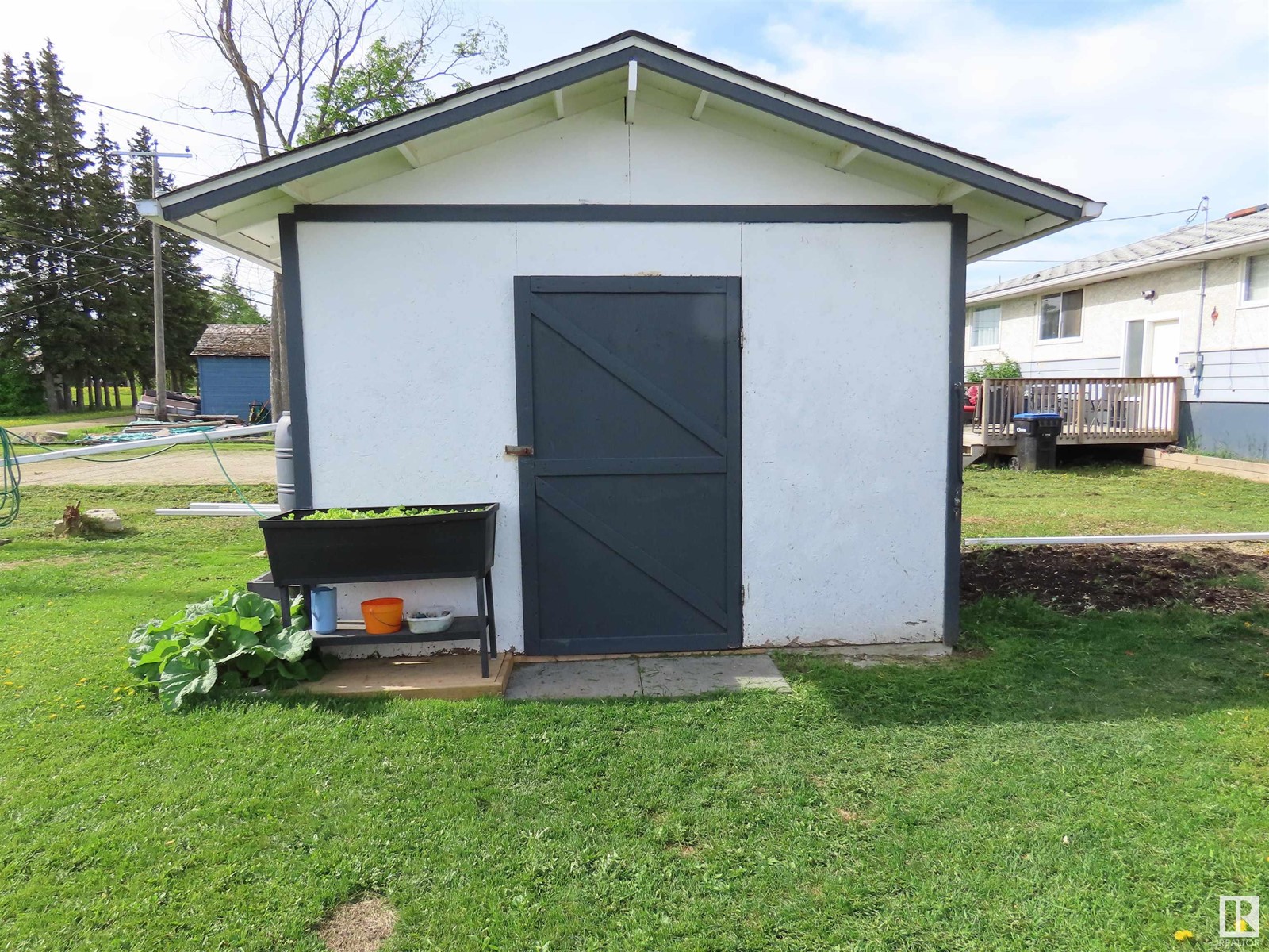 4817 47 St, Mayerthorpe, Alberta  T0E 1N0 - Photo 6 - E4439102