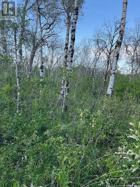Auction Mart Road West 10 Acres, Corman Park Rm No. 344, Saskatchewan  S0K 2L0 - Photo 10 - SK993316