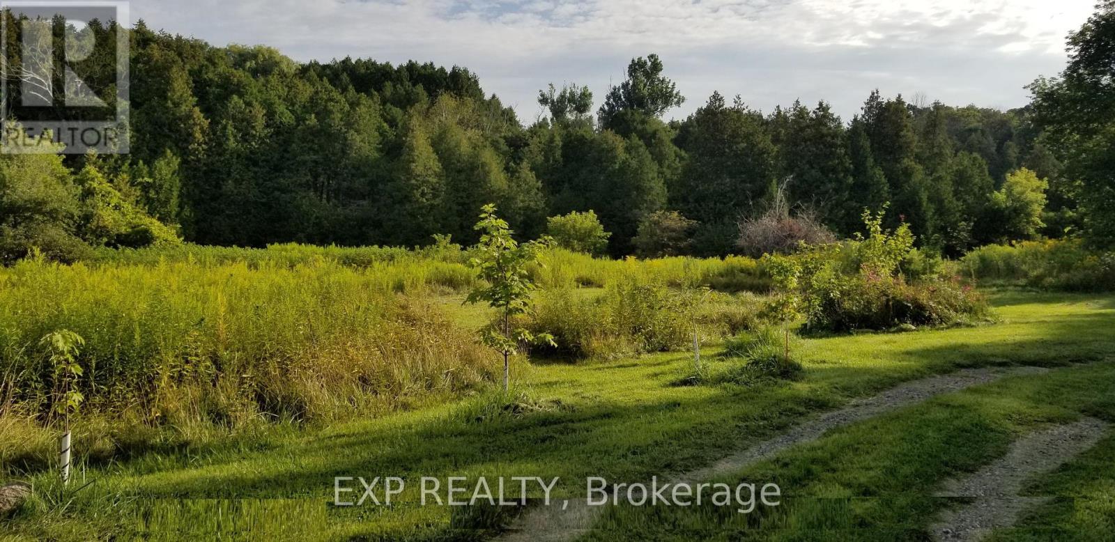 5693 East Townline Road, Port Hope, Ontario  L0A 1J0 - Photo 31 - X12181307