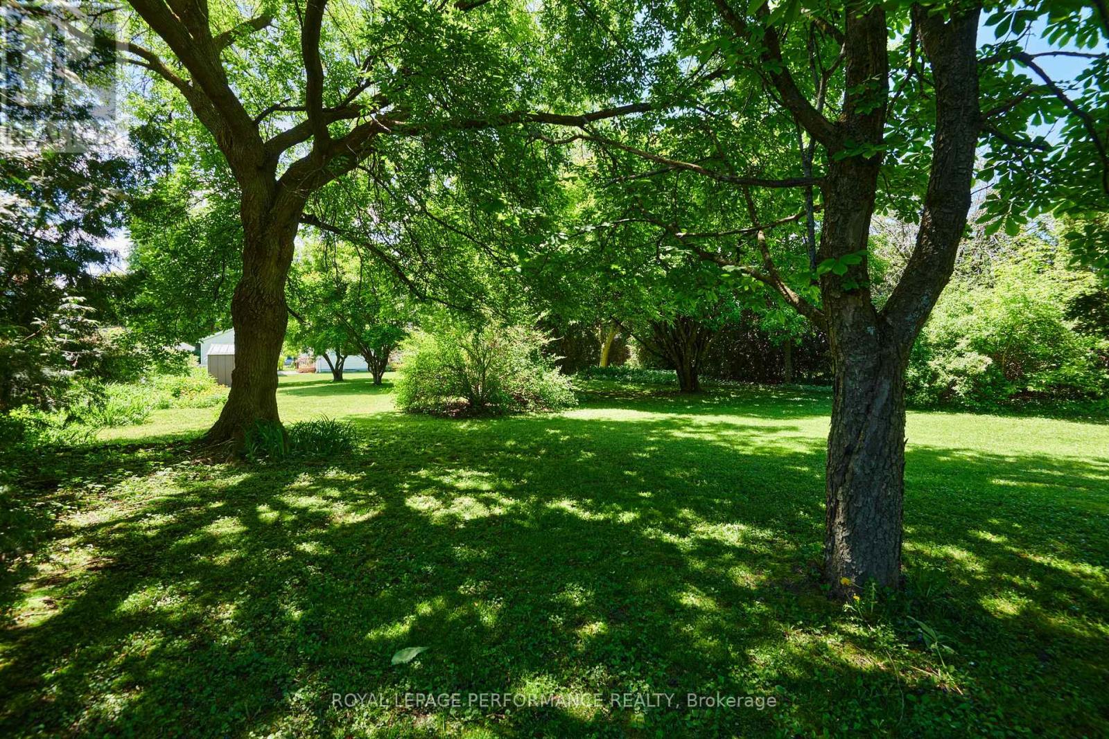 1156 Normandy Crescent, Ottawa, Ontario  K2E 5A6 - Photo 6 - X12181664