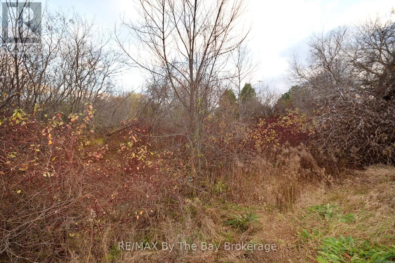 41 Lansdowne Street N, Blue Mountains, Ontario  N0H 2P0 - Photo 14 - X12181626