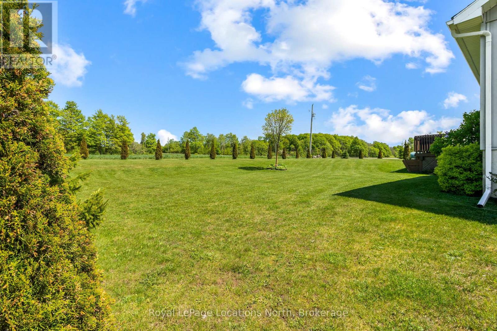 105 Inkerman Street, Grey Highlands, Ontario N0C 1E0 - Photo 33 - X12181643
