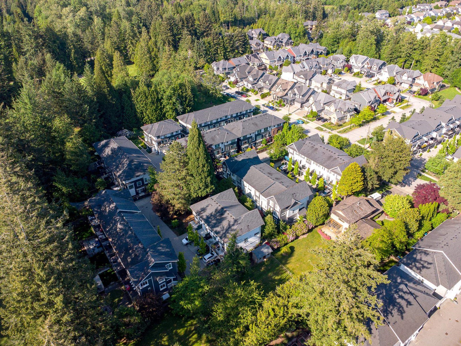 15 277 171 Street, Surrey, British Columbia  V3Z 9P4 - Photo 37 - R3008068