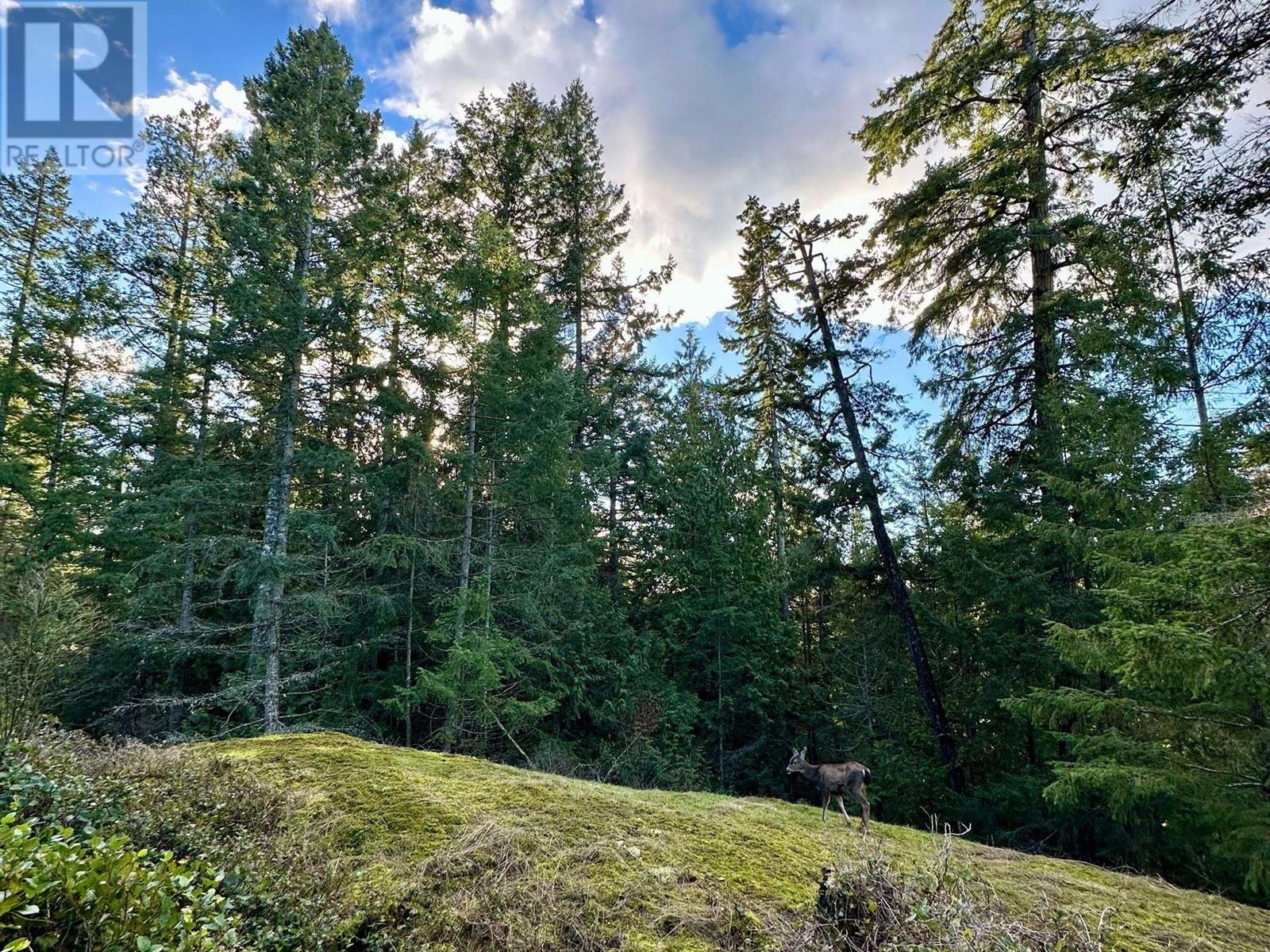 831 Windjammer Road, Bowen Island, British Columbia  V0N 1G2 - Photo 26 - R3008355