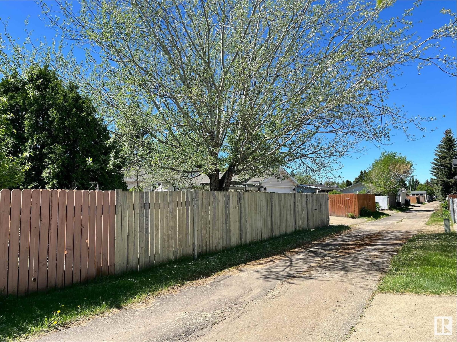 Property at 11604 35 AV NW image 4
