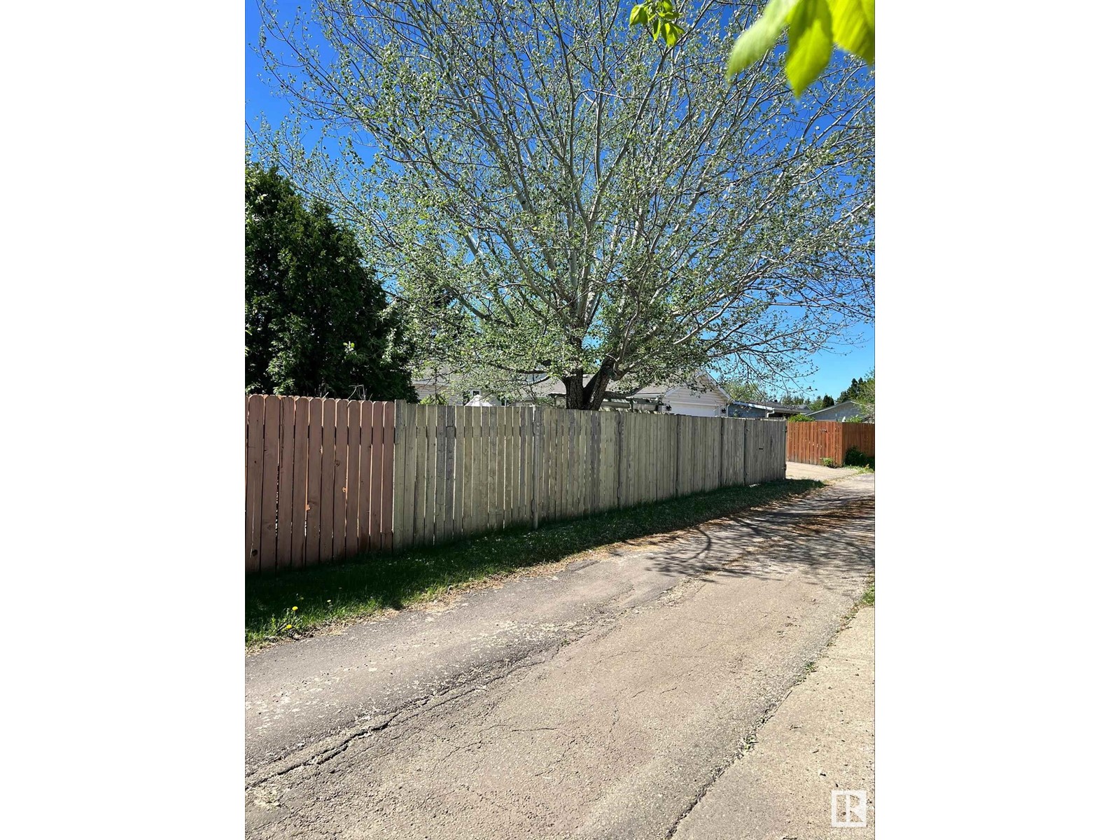 Property at 11604 35 AV NW image 3
