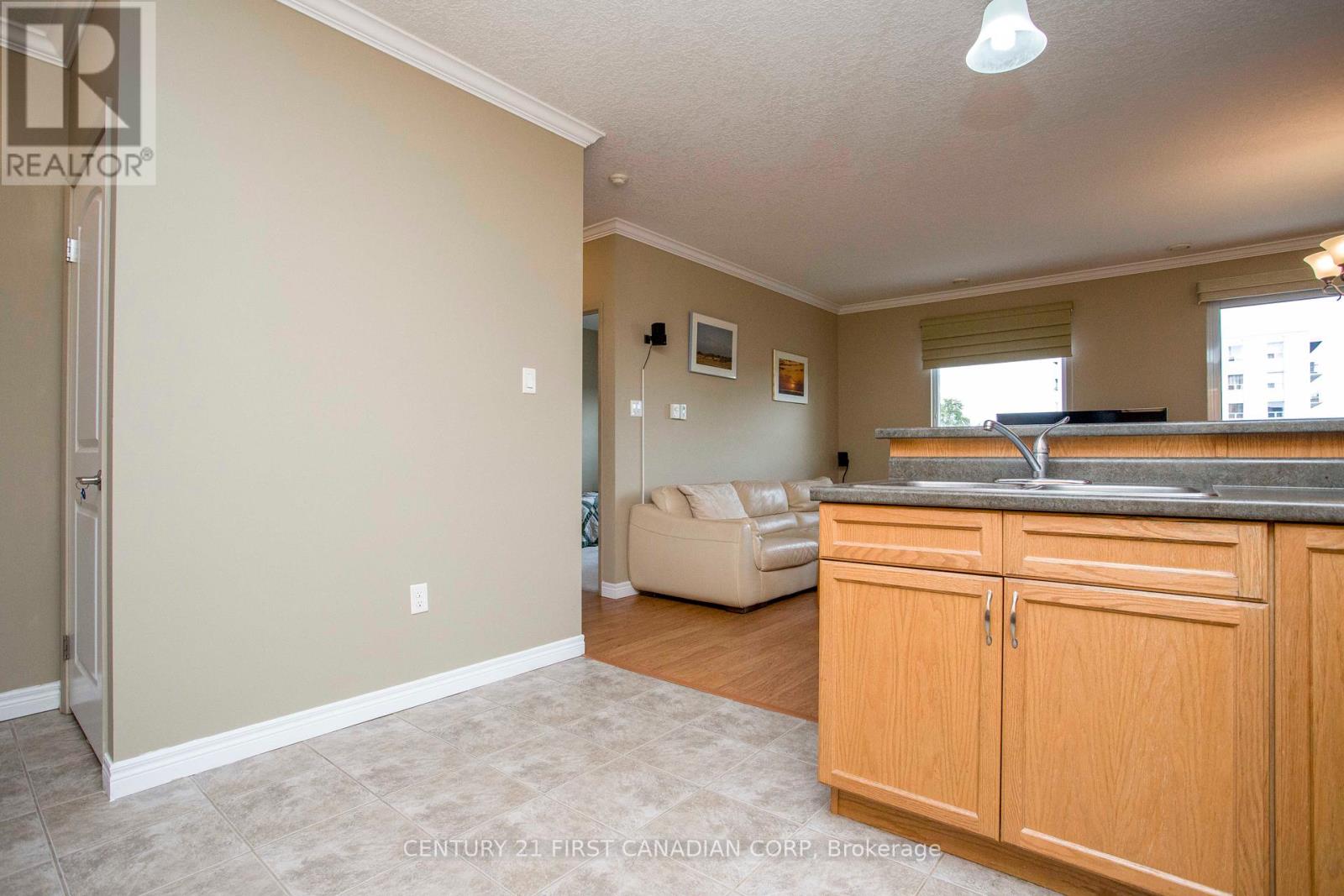 505 - 435 Colborne Street, London East (East F), Ontario  N6B 2T2 - Photo 10 - X12181877