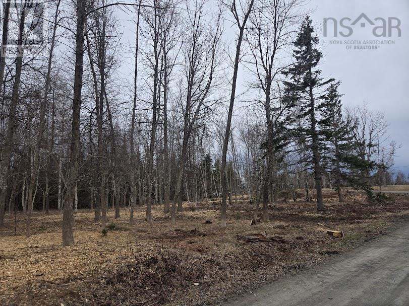 Lot 22 Birch Hill Lane, Caribou River, Nova Scotia  B0K 1H0 - Photo 2 - 202510895