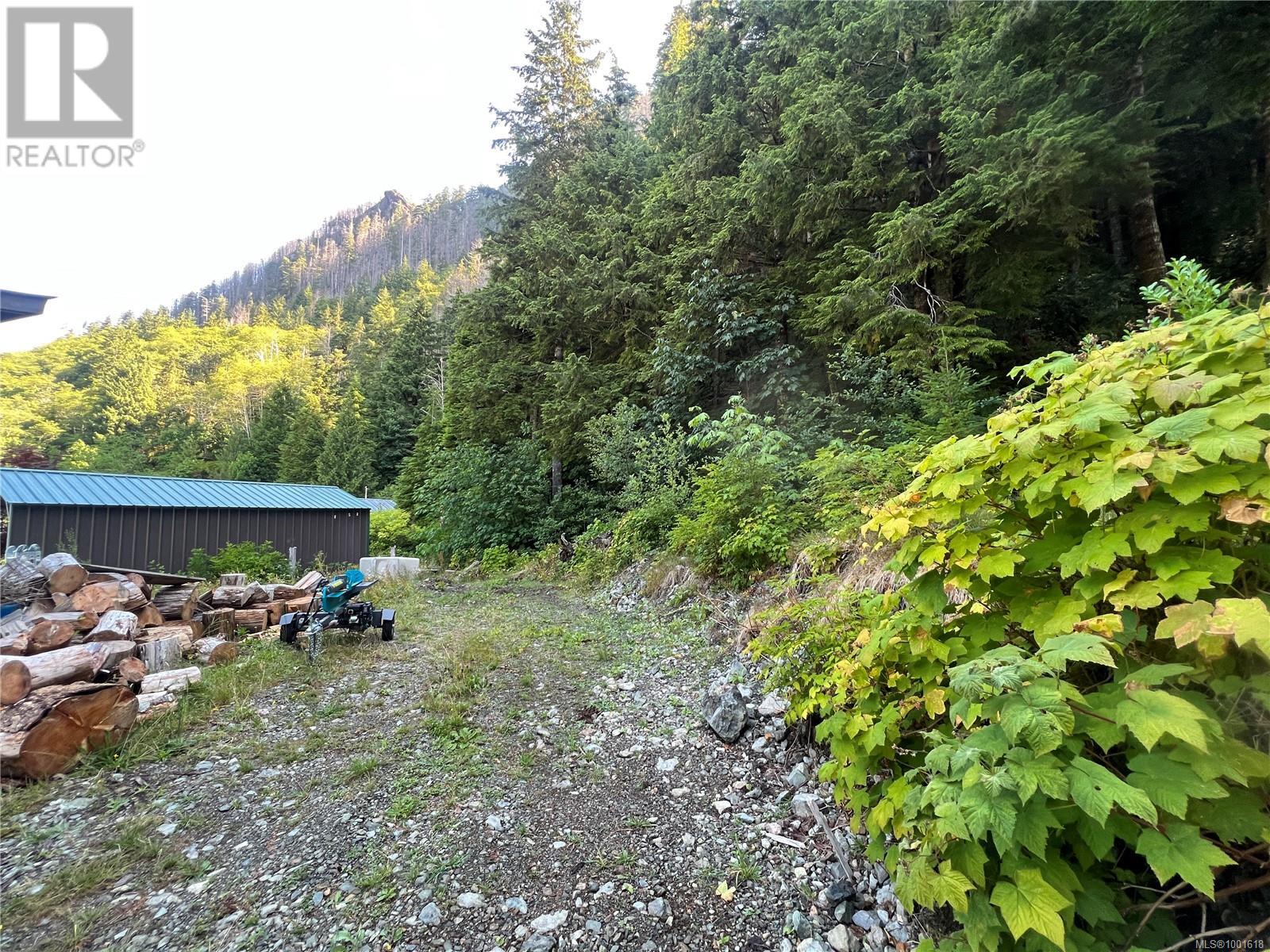 Lot 17 Pandora Cres, Zeballos, British Columbia  V0P 2A0 - Photo 3 - 1001618