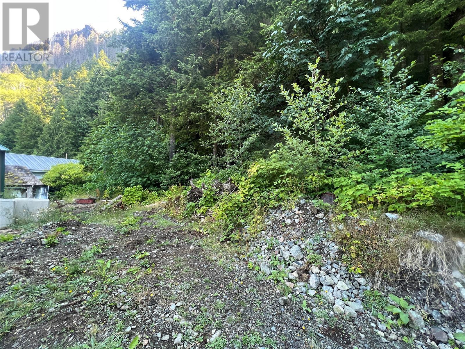 Lot 17 Pandora Cres, Zeballos, British Columbia  V0P 2A0 - Photo 4 - 1001618