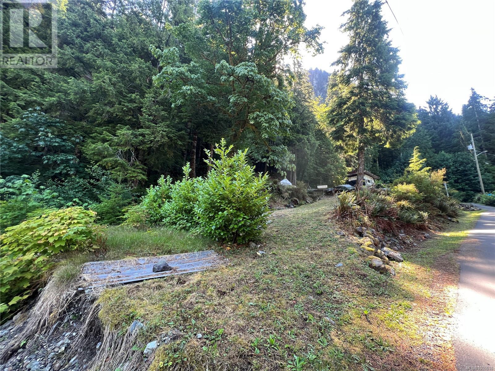 Lot 17 Pandora Cres, Zeballos, British Columbia  V0P 2A0 - Photo 5 - 1001618