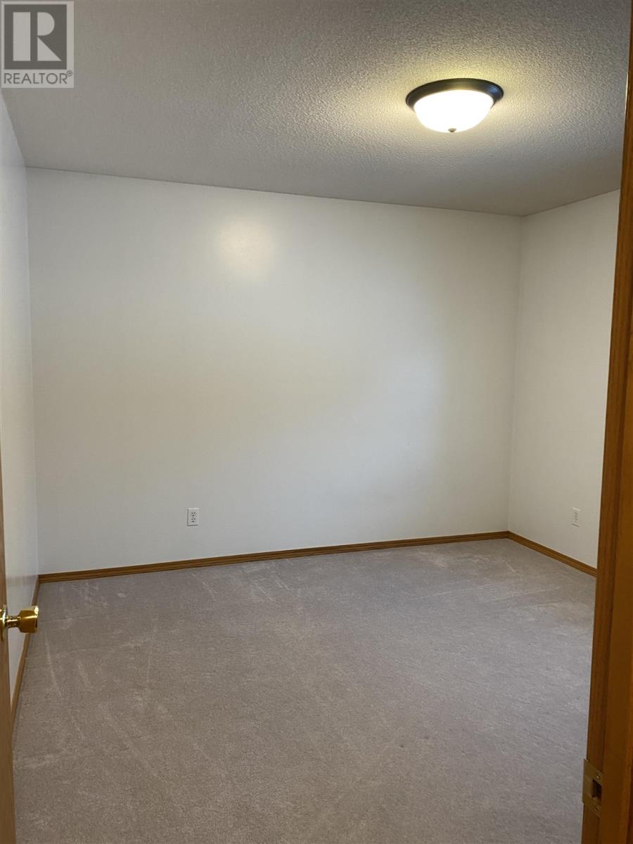987 Redford Rd, Emo, Ontario  P0W 1E0 - Photo 13 - TB251023