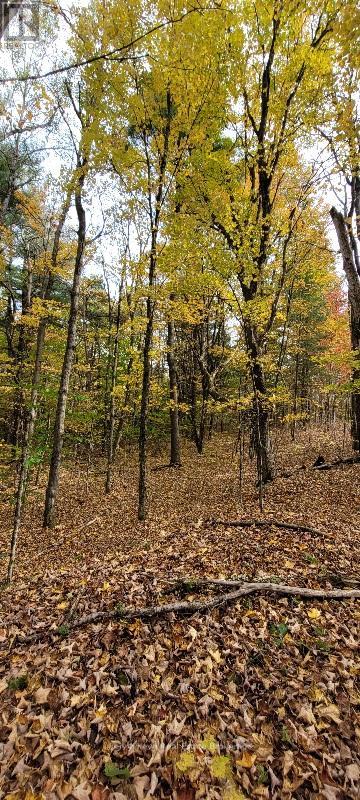 N/a Houston Road, Muskoka Lakes, Ontario  P1L 1X4 - Photo 15 - X12167997