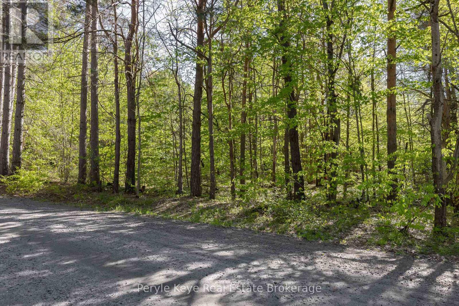 N/a Houston Road, Muskoka Lakes, Ontario  P1L 1X4 - Photo 13 - X12167997