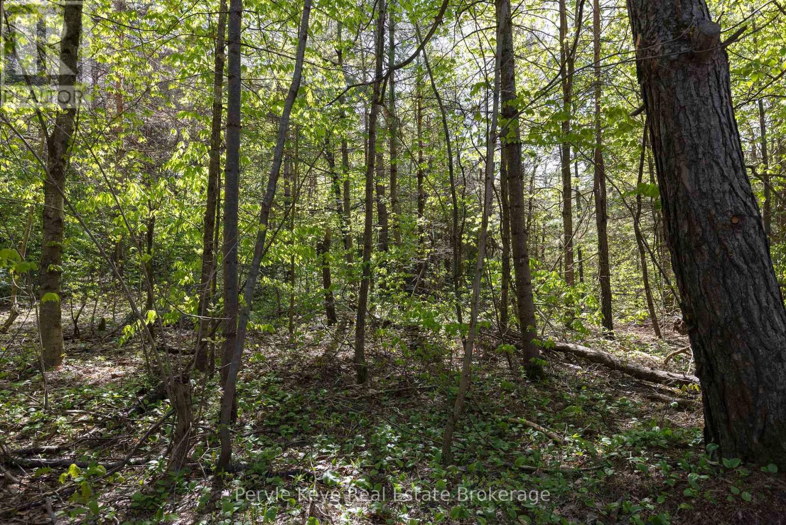 N/a Houston Road, Muskoka Lakes, Ontario  P1L 1X4 - Photo 22 - X12167997