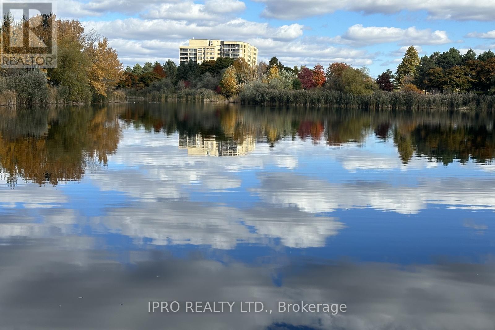 303 - 6500 Montevideo Road, Mississauga, Ontario  L5N 3T6 - Photo 47 - W12181898