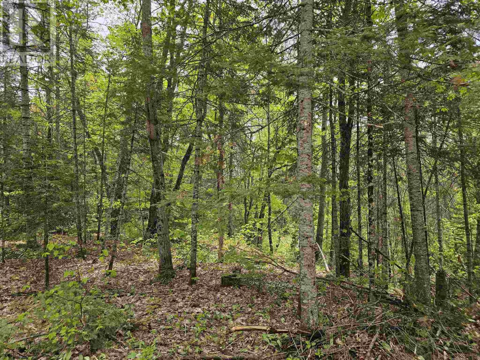 Part of Lot 10 Concession 6, Searchmont, Ontario