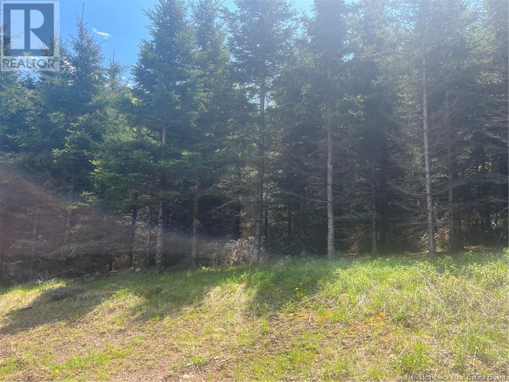 149 Thompson Road, Marrtown, New Brunswick  E5P 1X3 - Photo 13 - NB119415