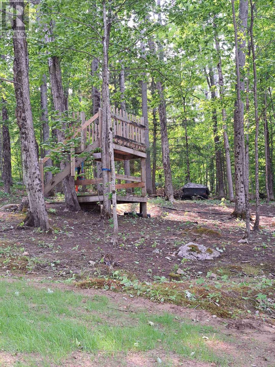 4441 Muskoka Rd 117 Road, Lake Of Bays, Ontario  P0B 1A0 - Photo 34 - X11965031