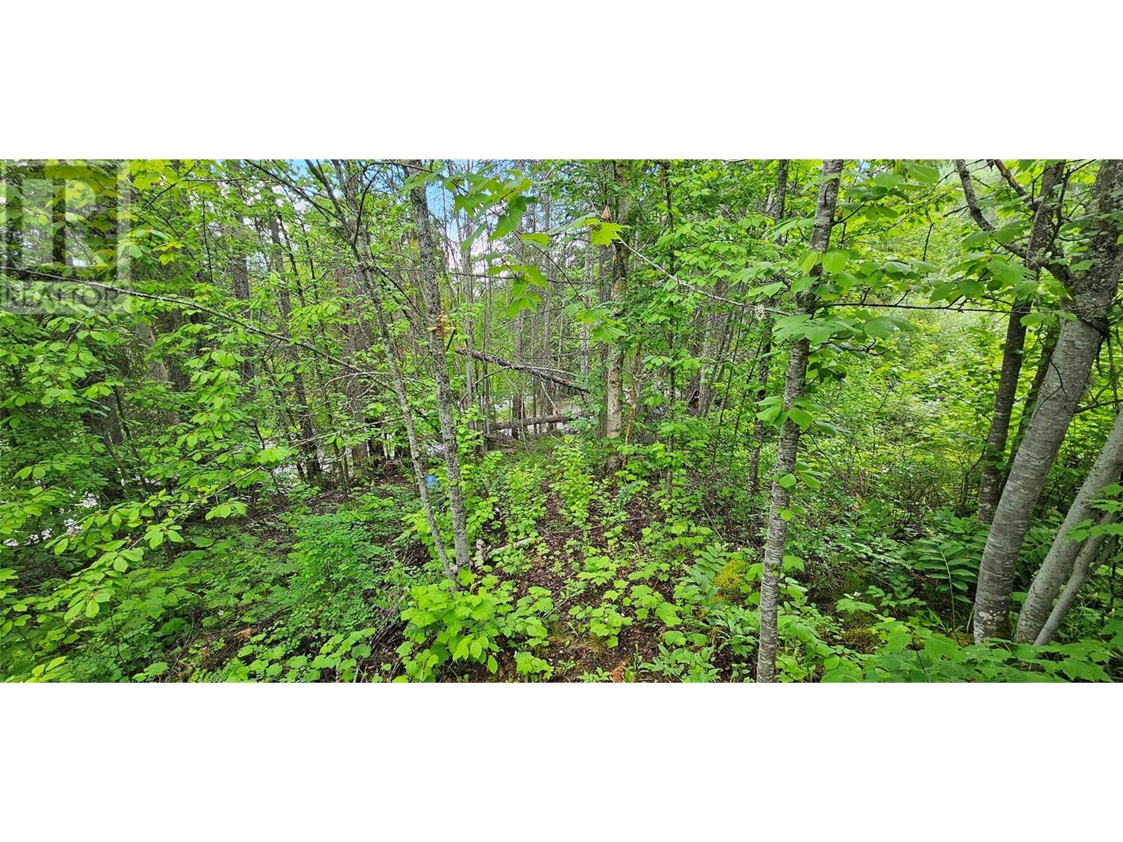 3953 Short Road, Eagle Bay, BC V0E1T0