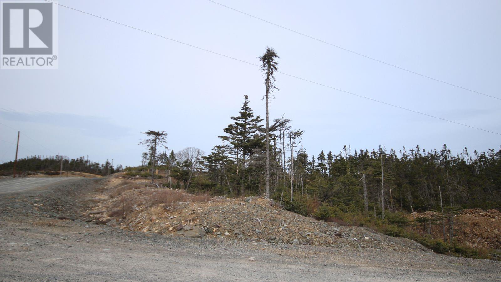 9 Peninsula Road, Ocean Pond, Newfoundland & Labrador  A0B 3K0 - Photo 3 - 1285627