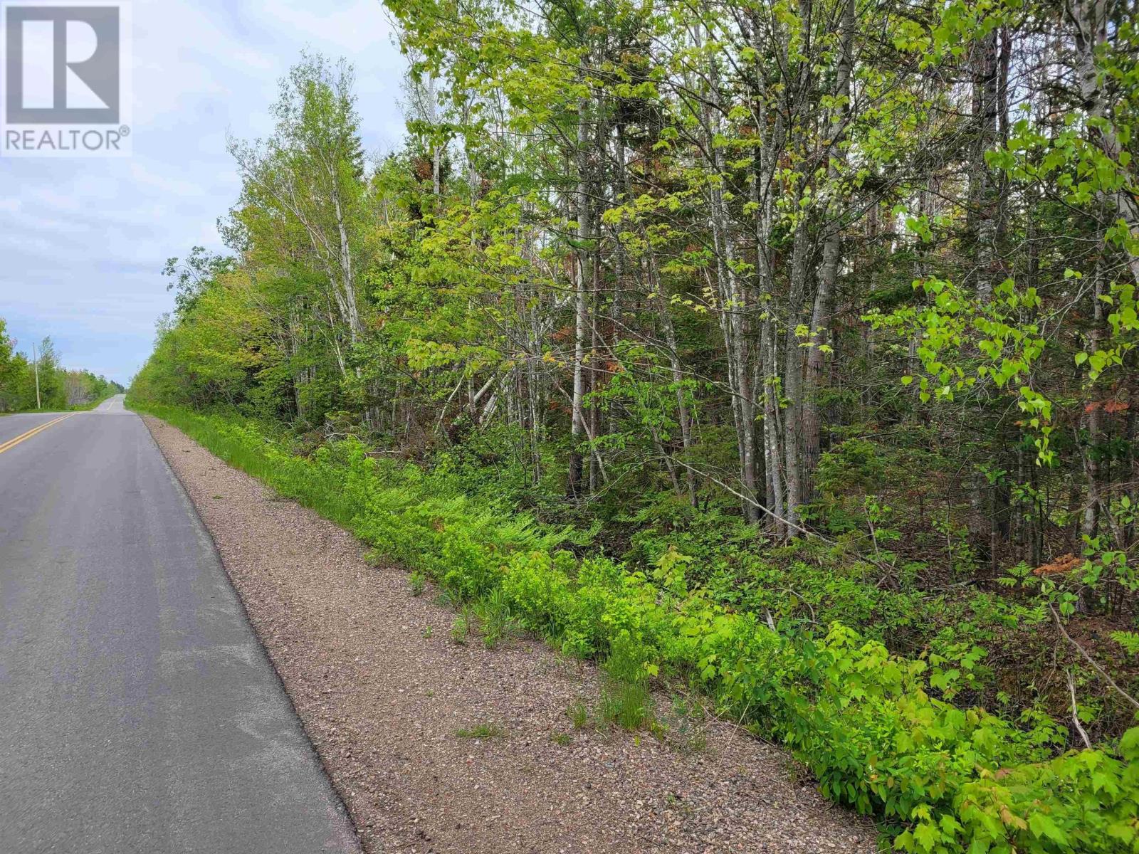 Lot 2 Tattrie Settlement Road, French River, Nova Scotia  B0K 1V0 - Photo 1 - 202425927