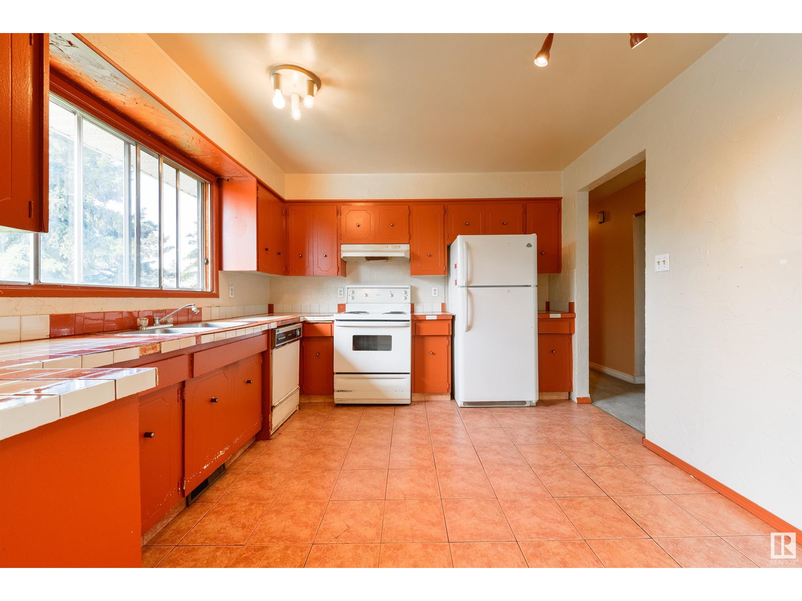 1917 65 St Nw, Edmonton, Alberta  T6L 1M1 - Photo 4 - E4439188