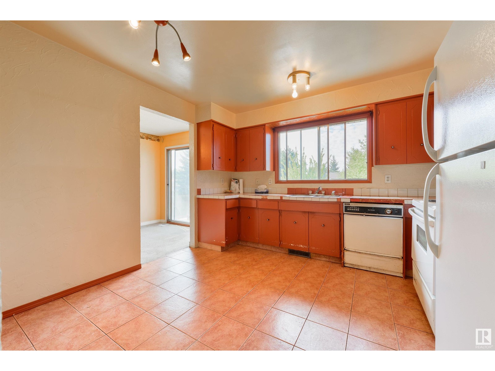 1917 65 St Nw, Edmonton, Alberta  T6L 1M1 - Photo 3 - E4439188