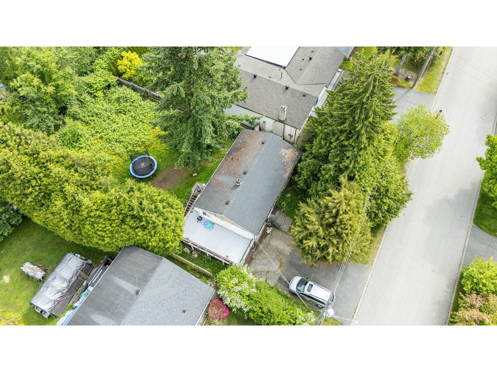 14735 107a Avenue, Surrey, British Columbia  V3R 1V2 - Photo 6 - R3008330