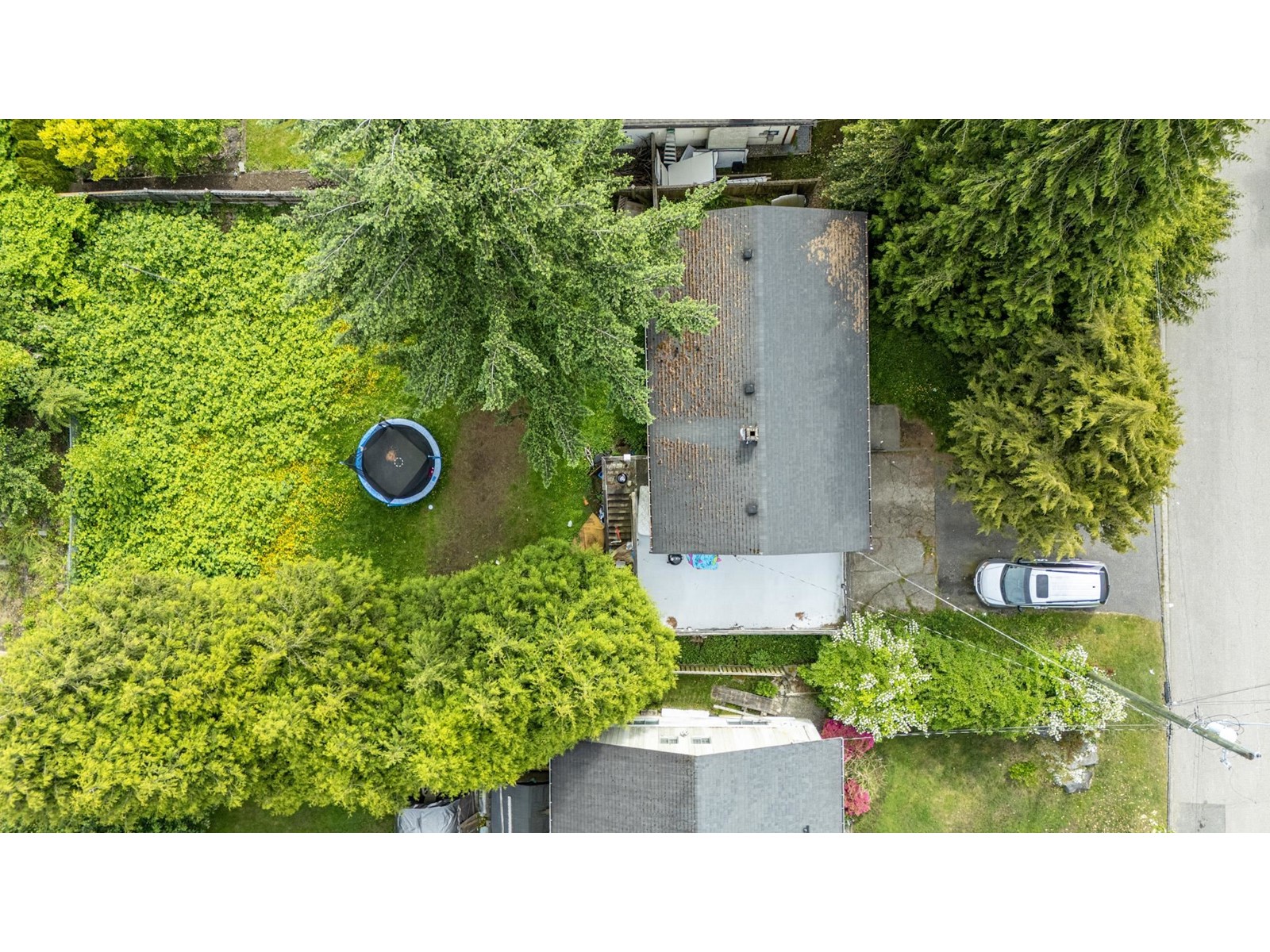 14735 107a Avenue, Surrey, British Columbia  V3R 1V2 - Photo 7 - R3008330