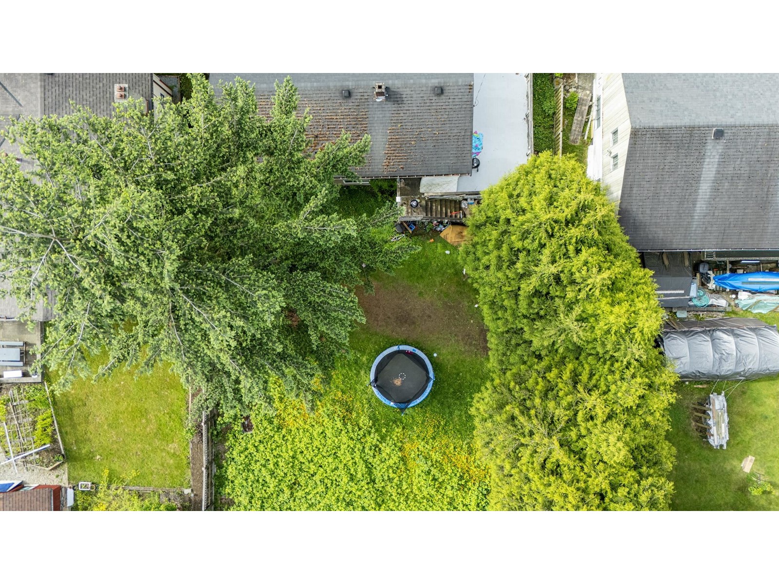 14735 107a Avenue, Surrey, British Columbia  V3R 1V2 - Photo 8 - R3008330