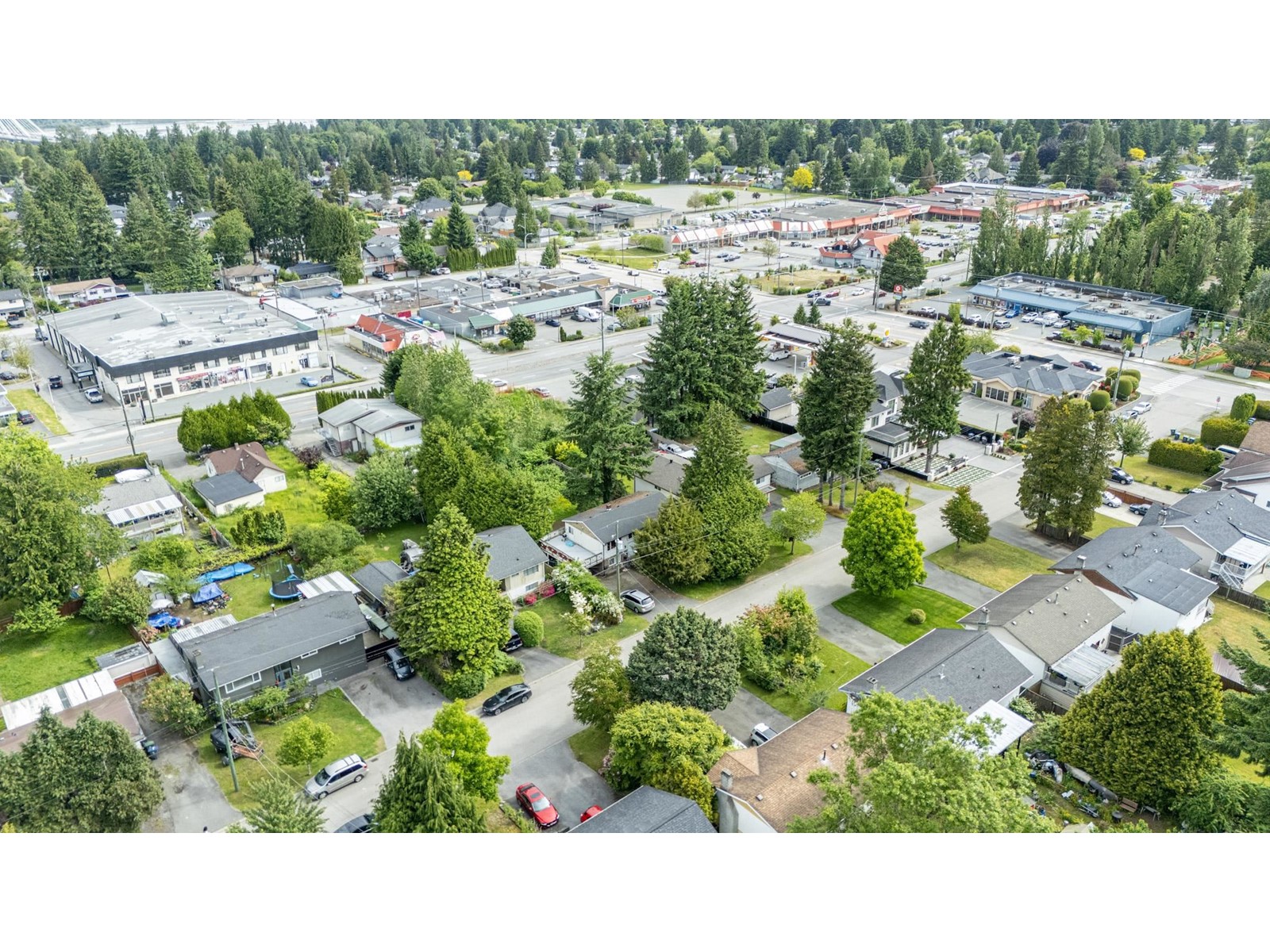 14735 107a Avenue, Surrey, British Columbia  V3R 1V2 - Photo 5 - R3008330