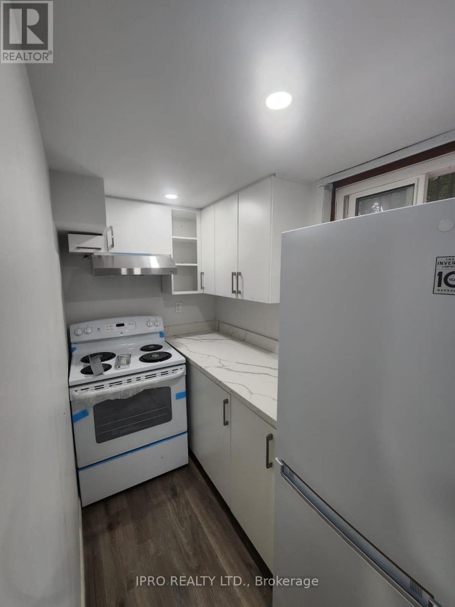 (Lower) - 37 Deerbrook Trail, Toronto, Ontario  M1W 1V3 - Photo 4 - E12182207