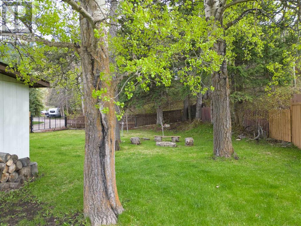 13118 16 Avenue, Blairmore, Alberta  T0K 0E0 - Photo 4 - A2222538